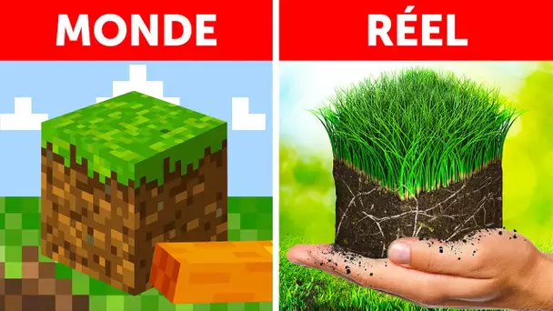 Et si Minecraft était la vraie vie ?