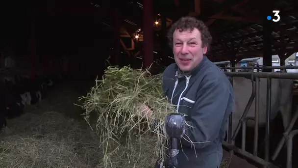 Rencontre avec un producteur laitier bio dans l'Oise