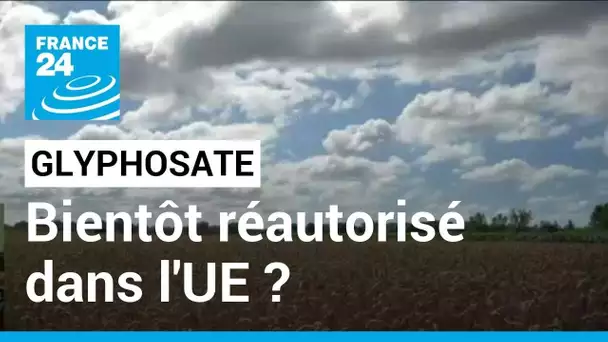 Glyphosate : bientôt réautorisé dans l'UE ? • FRANCE 24