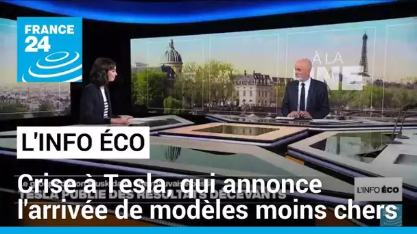 Les profits de Tesla s'effondrent, le groupe promet de nouveaux modèles moins chers • FRANCE 24