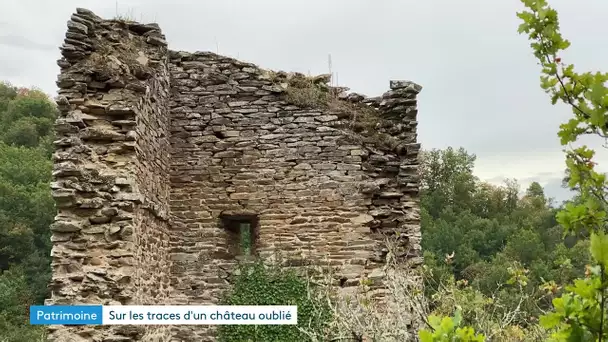 Sur les traces d'un château oublié dans la vallée du Tarn