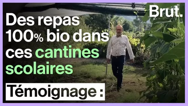 Ces cantines scolaires proposent des repas 100 % bio