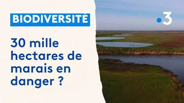 Un avenir incertain pour les zones humides du Cotentin et du Bessin