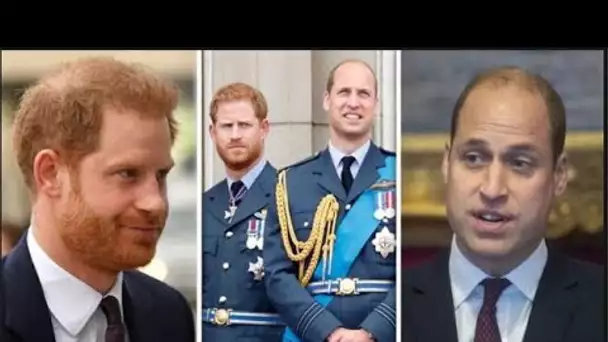 Tout ce que le prince Harry a dit à propos de The Crown alors que Duke était pressé de rompre