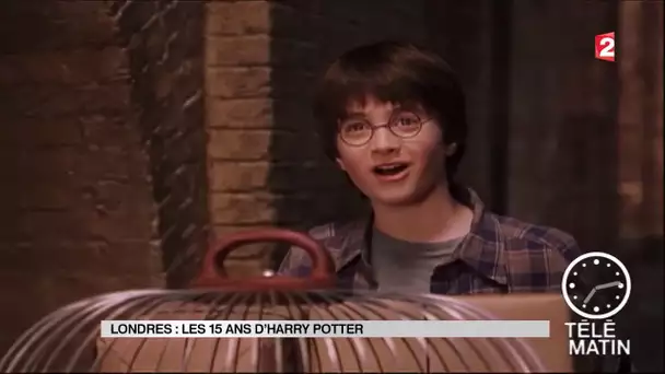 Harry Potter fête ses 15 ans