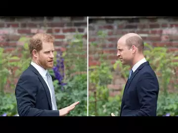 Prince William et Harry violent affrontement, leurs retrouvailles à Buckingham Palace