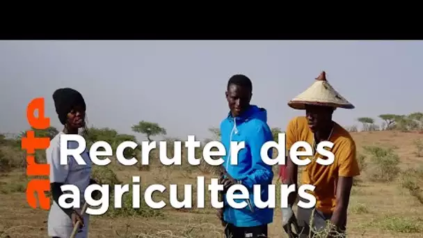 Sénégal : la téléréalité au service de l’agriculture | ARTE Reportage