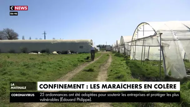 Confinement : les maraîchers en colère