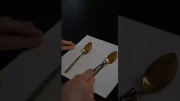 Fake VS Real spoon !! 😅😅