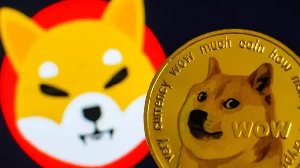Le DogeCoin est-il prêt à reprendre le dessus sur le Shiba Inu en 2022 ?