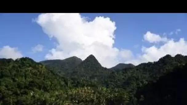 Martinique : La yole ronde fait désormais partie du patrimoine immatériel par l#039;Unesco