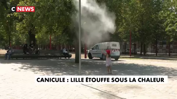 Canicule : Lille étouffe sous la chaleur