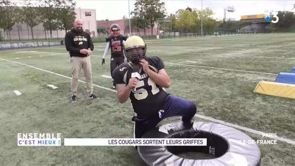 #ECM : Football américain avec Les cougars