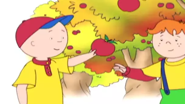 Caillou et les Pommes | Caillou en Français