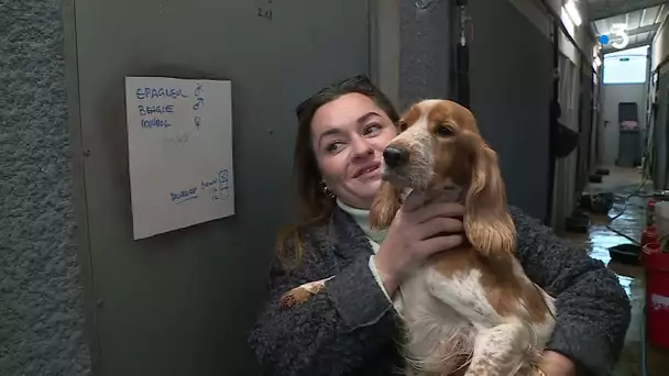 Béziers : un refuge évacué pour maltraitance animale, son propriétaire en garde à vue