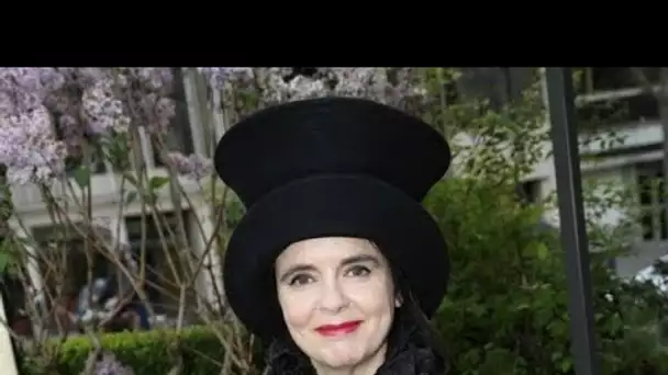 "Il est très beau" : Amélie Nothomb séduite par un célèbre acteur français...