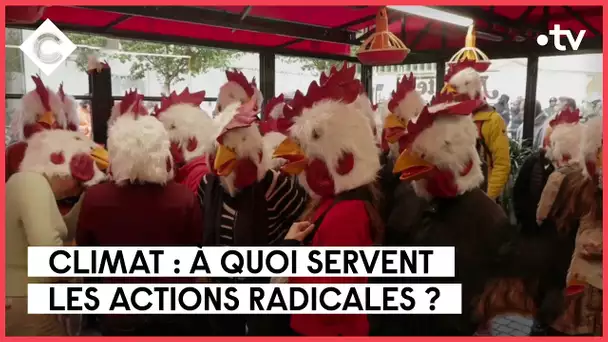 Climat : la désobéissance civile justifiée ? - Yannick Jadot - C à Vous - 07/11/2022