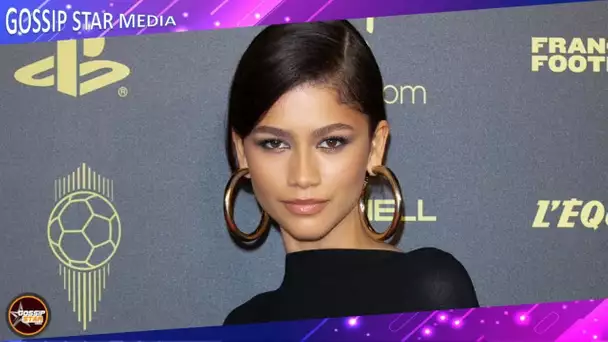 Zendaya : Son couple avec Tom Holland, sa taille, ses origines... Tout ce qu'il faut savoir sur l'ac