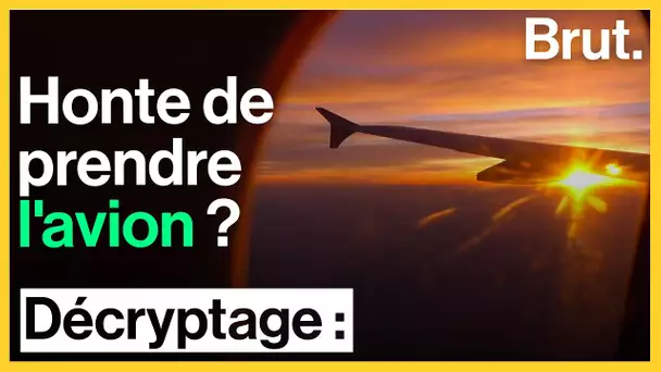 Arrêter de prendre l&#039;avion pour protéger le climat