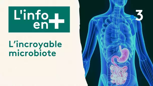 L'info en plus : l'incroyable microbiote