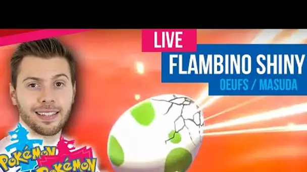 Chasse FLAMBINO SHINY (Double Hunt) - Pokémon Epée & Bouclier