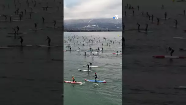 700 #paddles sur le lac d’#annecy pour la #glaglarace 2024