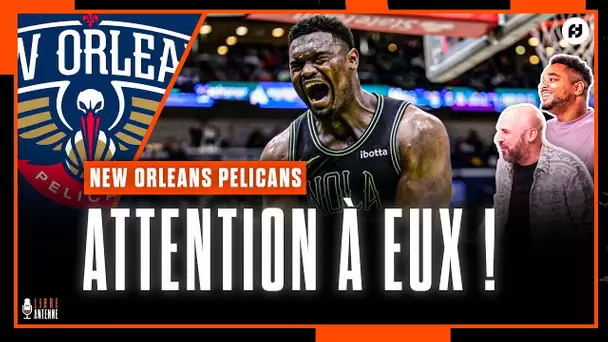 Zion Williamson et les Pelicans : attention au poil à gratter !