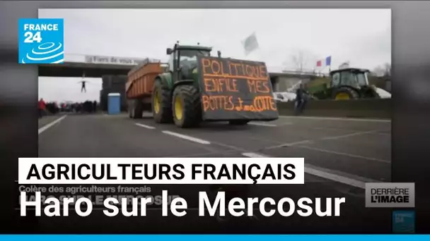 Colère des agriculteurs français : haro sur le Mercosur • FRANCE 24