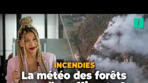 Incendies : la météo des forêts ne vous dit pas tout