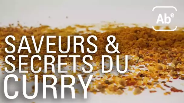 Les saveurs et les secrets du curry. ABE-RTS