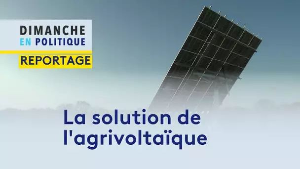 L'agrivoltaïsme : une solution face à la hausse de l'énergie et au réchauffement climatique