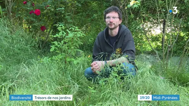 A Toulouse et Montpellier, les particuliers sont invités à découvrir les "Trésors de leurs jardins"