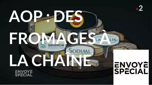 Envoyé spécial. AOP : Des fromages à la chaîne - 3 mai 2018 (France 2)