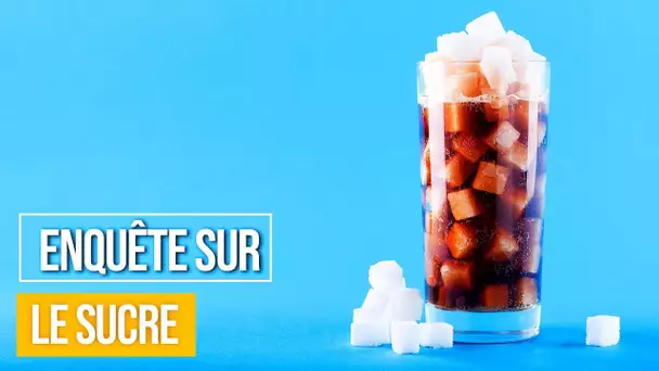 Enquête sur le sucre - Documentaire