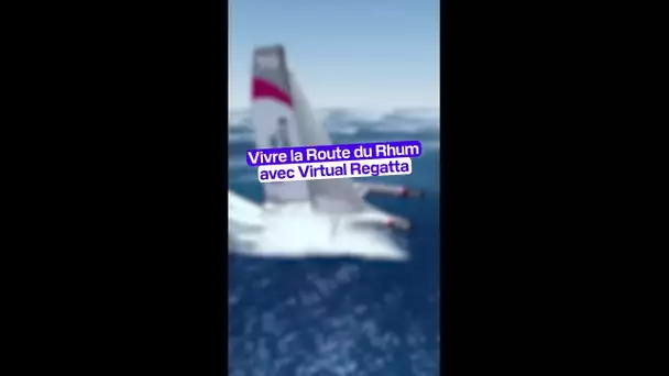 Qu’est-ce que Virtual Regatta ?