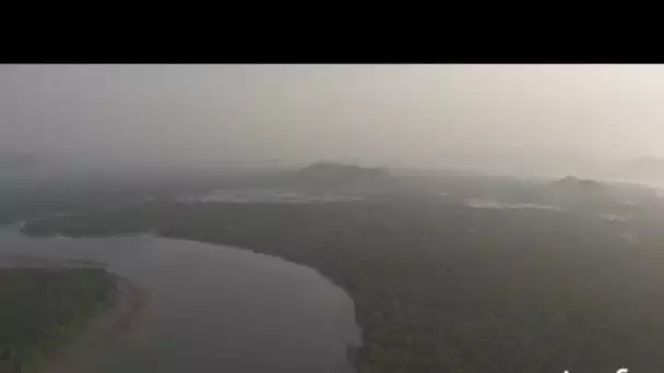 Thaïlande : aquaculture dans la baie de Phang Nga