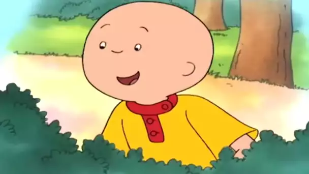 Caillou et L'école de la Forêt | Caillou en Français