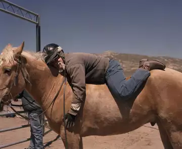 Des chevaux sauvages aident des prisonniers américains à devenir de meilleures personnes