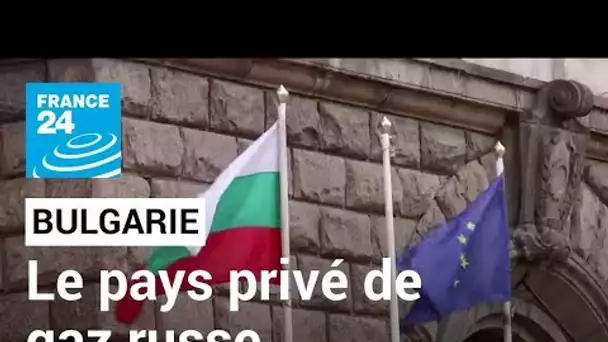 La Bulgarie privée de gaz russe : "Personne ne peut faire chanter la Bulgarie !" • FRANCE 24