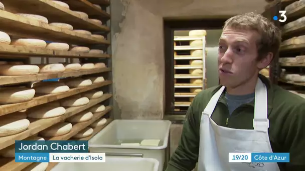 La vacherie d'Isola, une histoire de famille qui perpétue la production locale de fromages