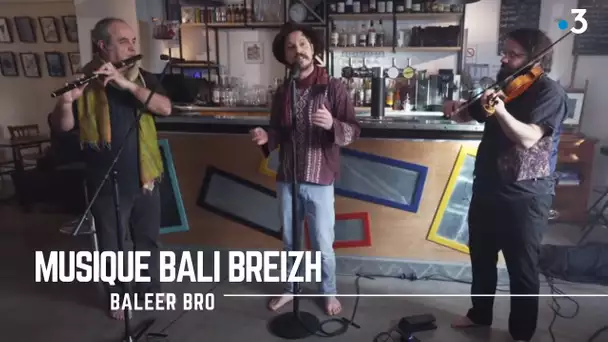 Ar strollad Baleer bro e-barzh Bali Breizh : E-barzh an ti korn war ar Menez Bre