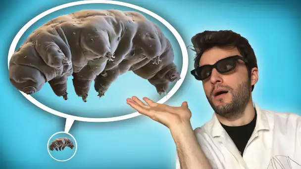 Nous avons attrapé un Tardigrade ! OM#3