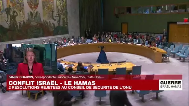 Deux nouvelles résolutions rejetées au Conseil de sécurité de l'ONU • FRANCE 24