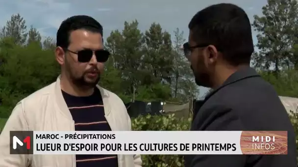 Maroc-précipitations : lueur d'espoir pour les cultures de printemps