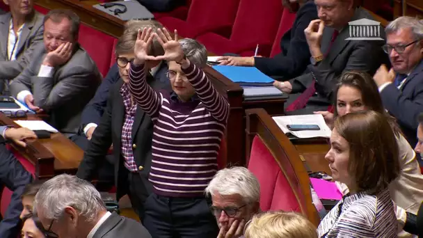 Le signe féministe de Sandrine Rousseau devant l'Assemblée nationale