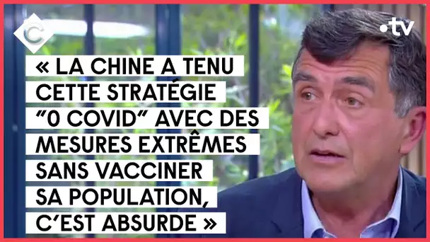 Arnaud Fontanet, Éric Heyer et Dominique Schelcher - C à vous - 04/05/2022