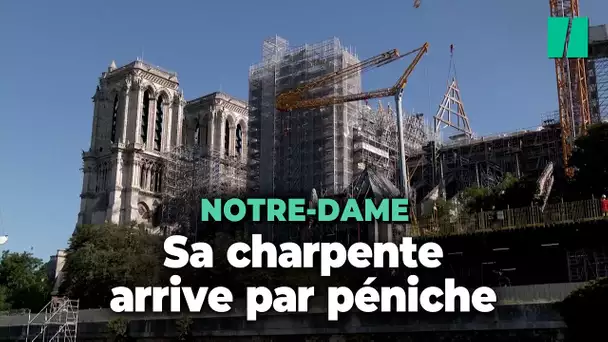 Arrivée par péniche, la charpente de Notre-Dame retrouve sa place