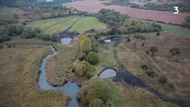 Yonne : la renaissance du marais de la vallée de la Druyes