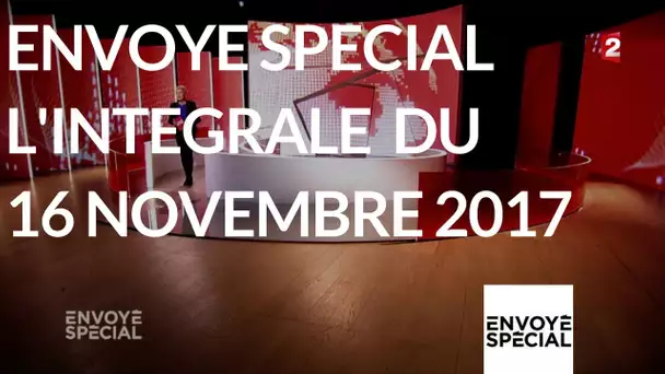 Envoyé spécial. L'intégrale du 16 novembre 2017 (France 2)
