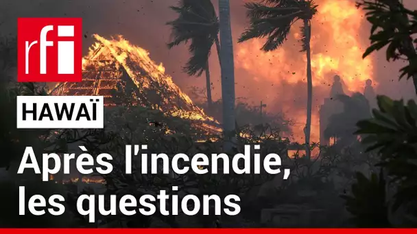Hawaï : après l'incendie meurtrier, une enquête et des questions • RFI